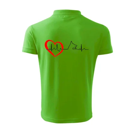 Nemecký ovčiak ekg