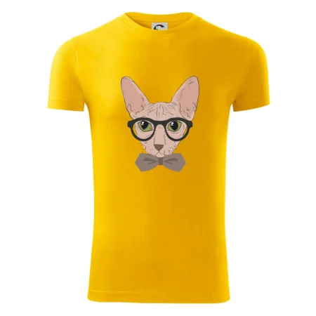 Hipster sphynx