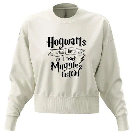 Harry - Hogwarts wasn’t hiring, so I teach Muggles instead