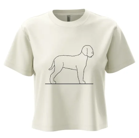 Lagotto romagnolo stojaci