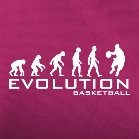 Evolúcia Basketball