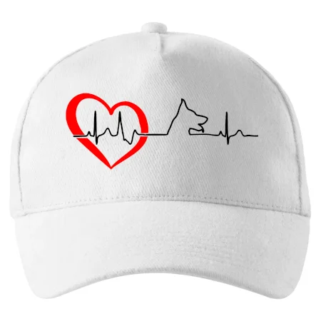 Nemecký ovčiak ekg