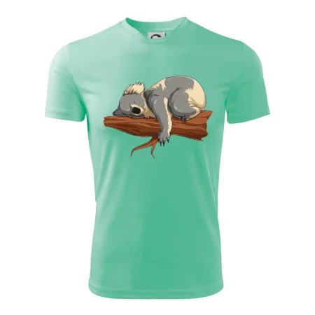 Koala na vetve