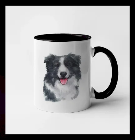 Border kólia vodová farba