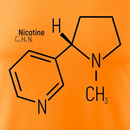 Molekulárna štruktúra Nikotín