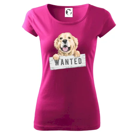 Zlatý retriever - šteniatko wanted