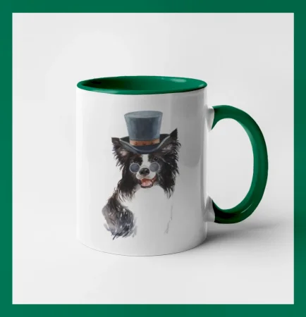 Border kólia v klobúku