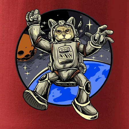 Mačacie astronaut