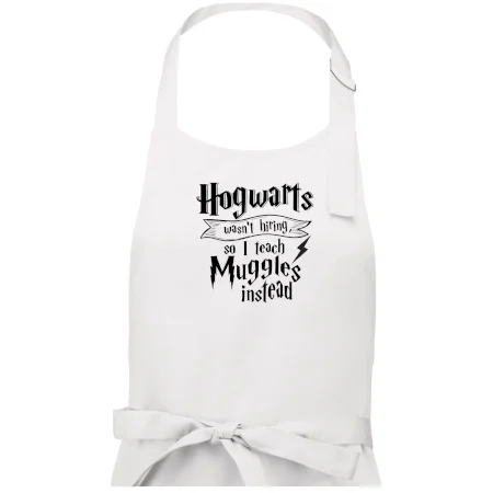 Harry - Hogwarts wasn’t hiring, so I teach Muggles instead