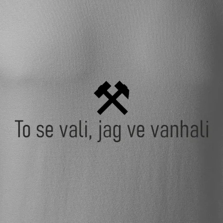 To se vali, jag ve vanhali