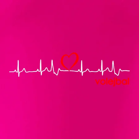 Moje srdce bije pre Volejbal