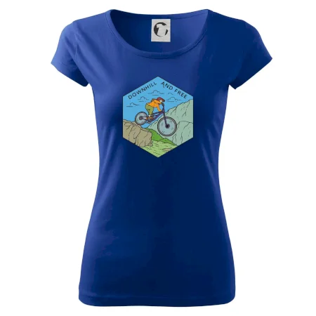 Downhill and free holka