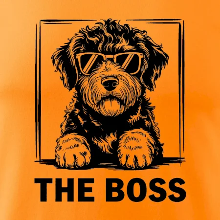 Lagotto romagnolo the boss