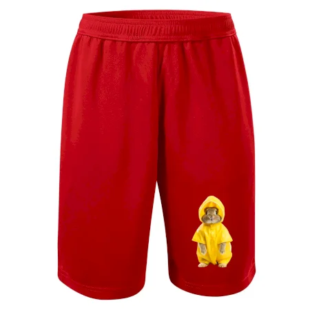 Králik v pláštenke