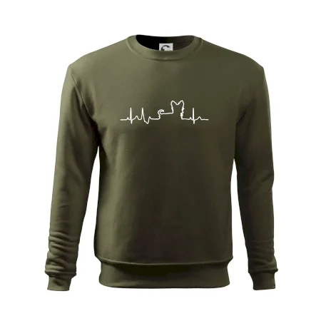 Yorkshirský teriér EKG