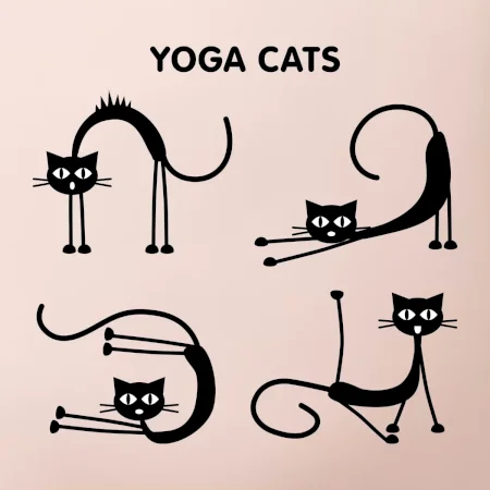 Mačacie jóga (Hana-creative)