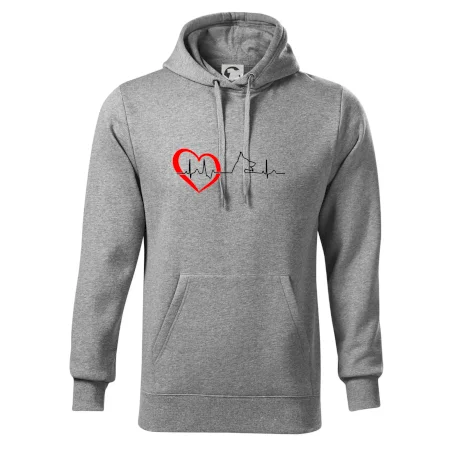 Nemecký ovčiak ekg