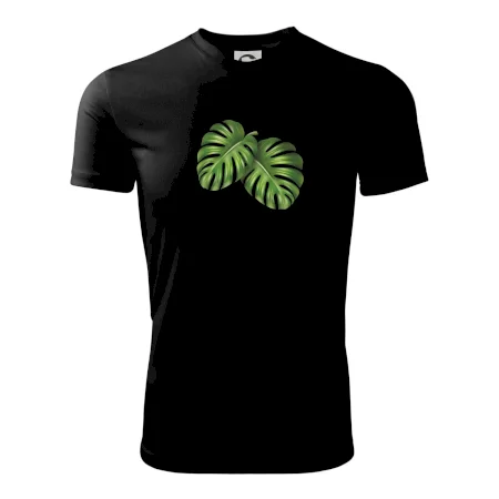 Monstera - dva listy
