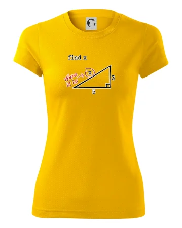 Find X - geometria