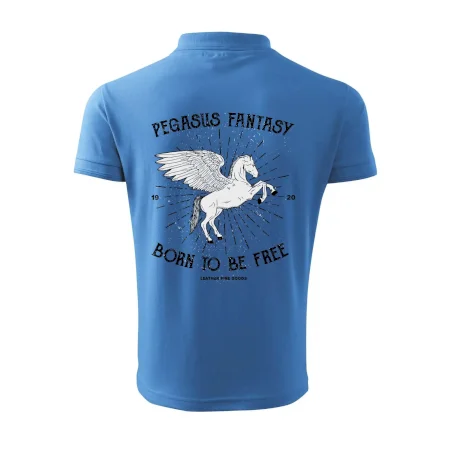 Pegasus fantasy