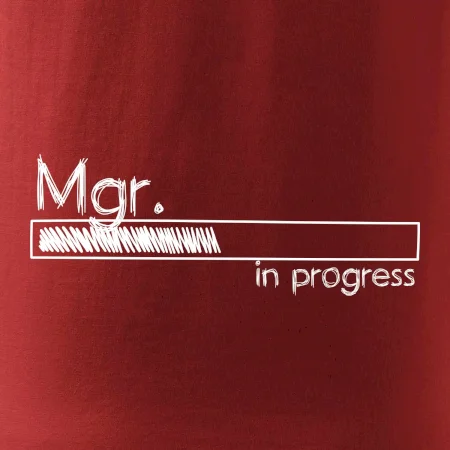 In progress titul Mgr. magister / magistra