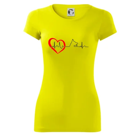 Nemecký ovčiak ekg