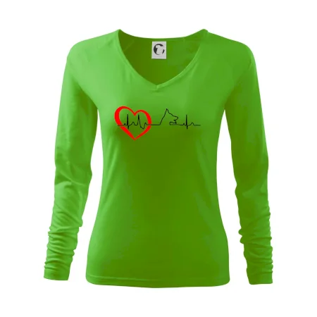 Nemecký ovčiak ekg