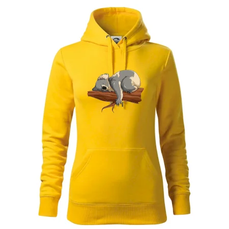 Koala na vetve