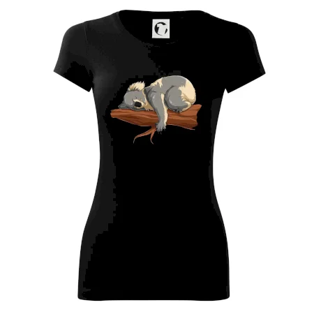 Koala na vetve