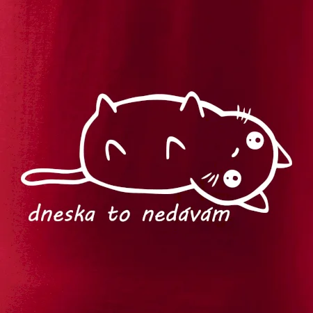 Dnes to nedávam