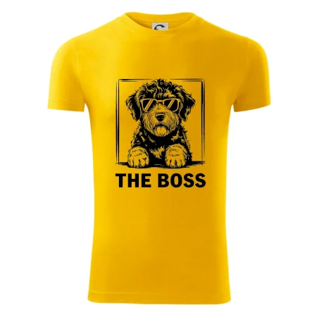 Lagotto romagnolo the boss