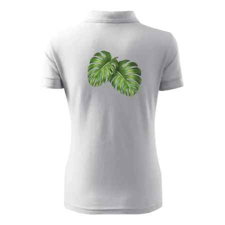 Monstera - dva listy