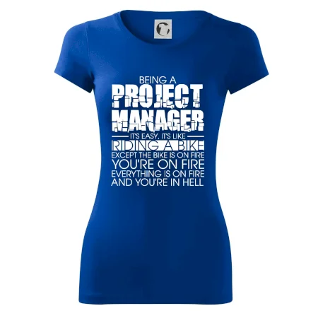 Being A Project Manager - bike