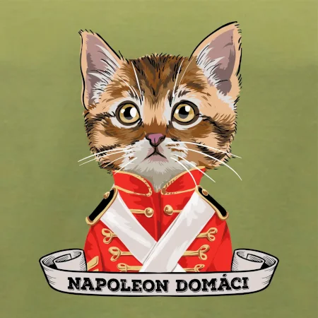 Napoleon domáci mačka