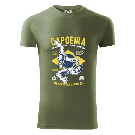 Capoeira  Afro-brazil art