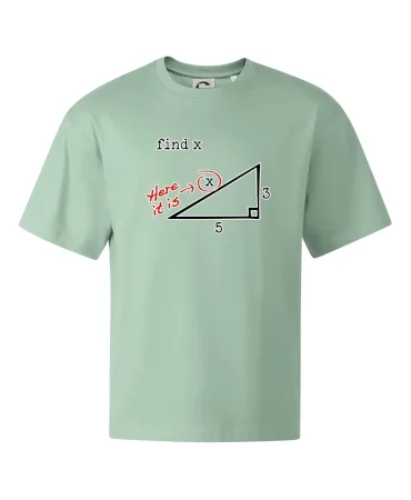 Find X - geometria