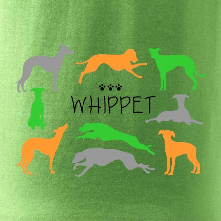 Whippet farebný