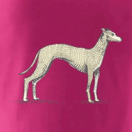 Vintage Whippet