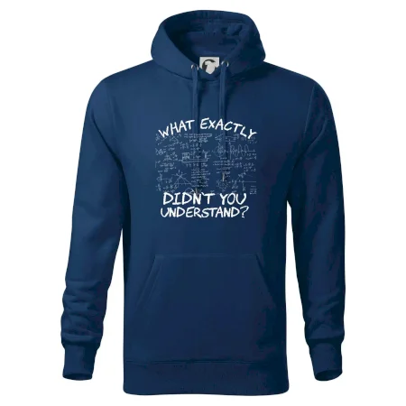 What exactly didn't you understand - physics