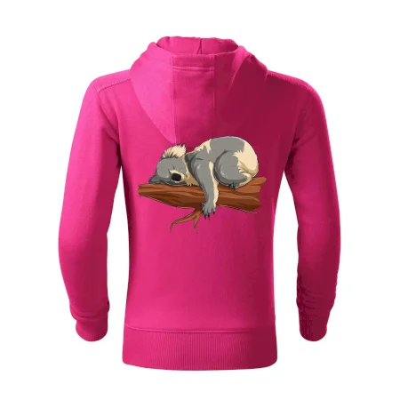 Koala na vetve