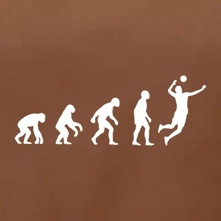 Evolúcia volejbal smeč