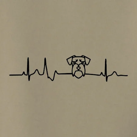 Ekg bradáč hlava
