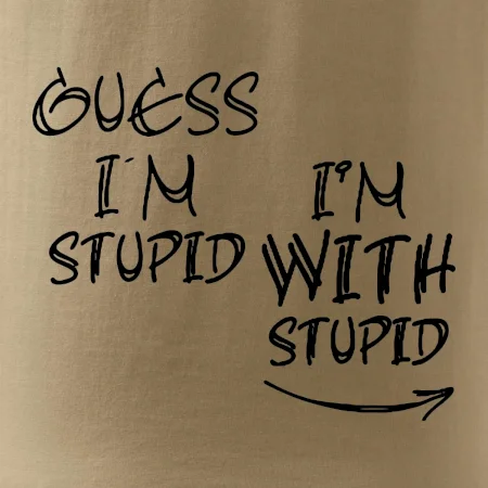 Guess iam stupid