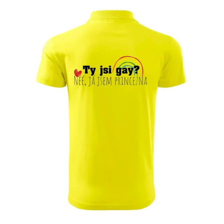 Gay princezna