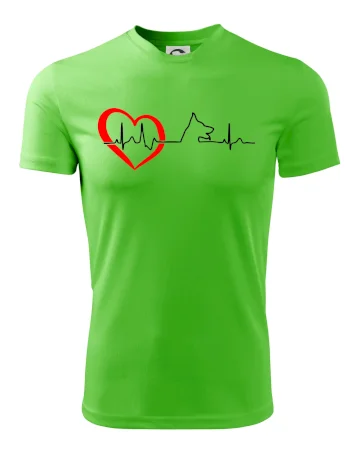 Nemecký ovčiak ekg