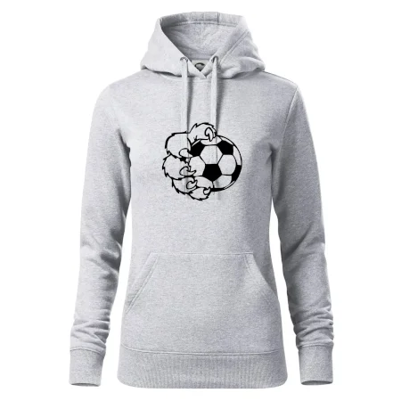 Medvedia laba futbal