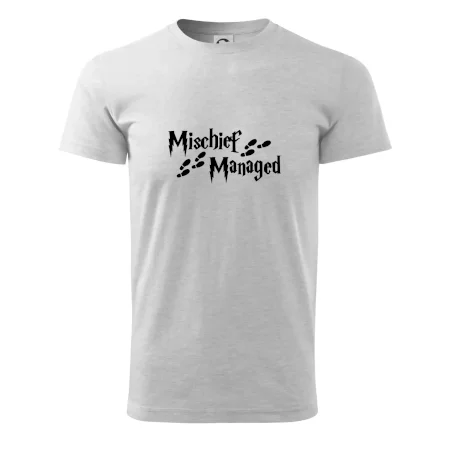 Harry - Mischief Managed