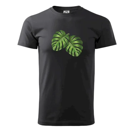 Monstera - dva listy