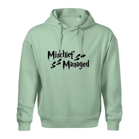 Harry - Mischief Managed