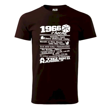 1966 v kocke